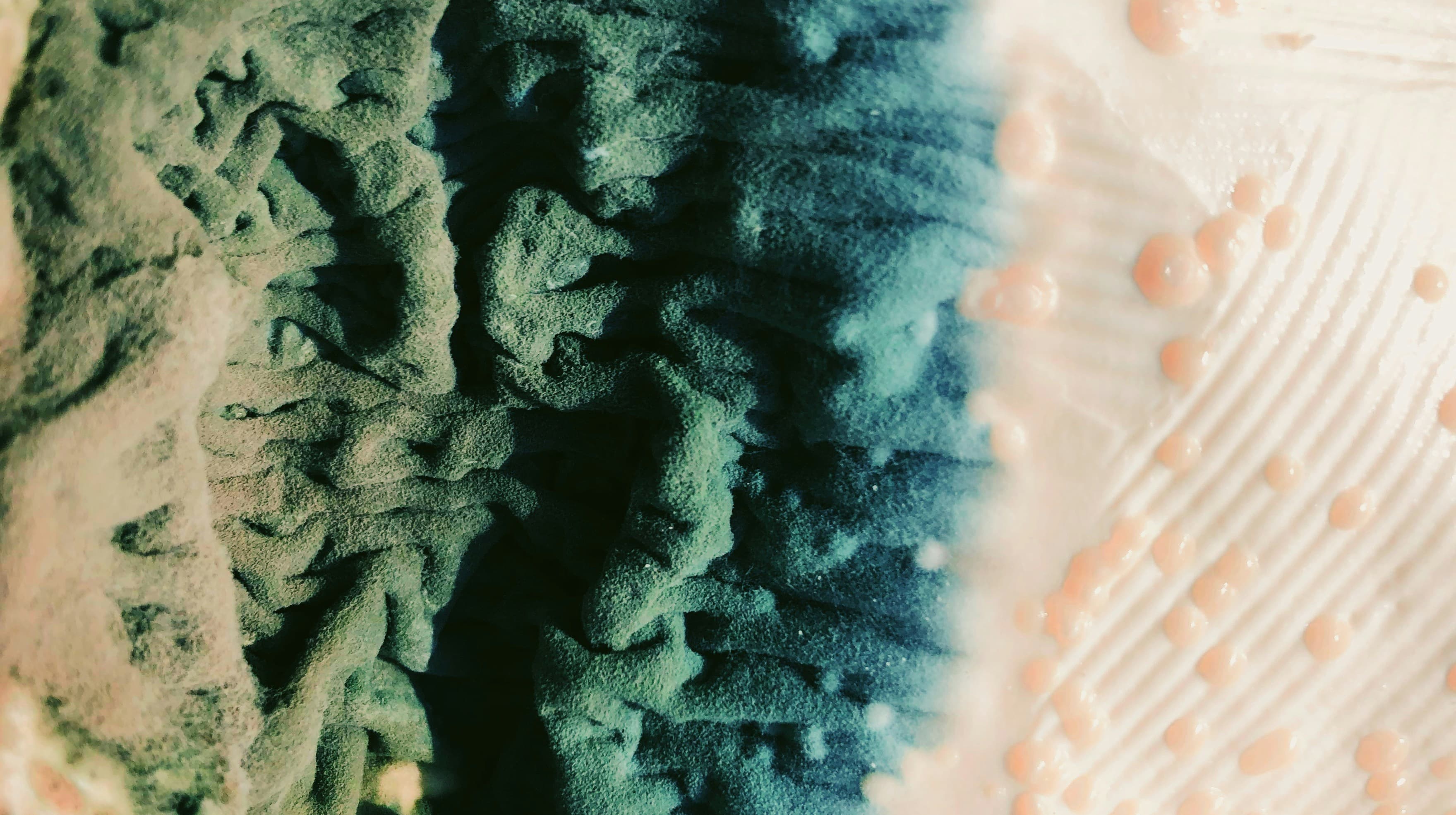 Mould risk assessment