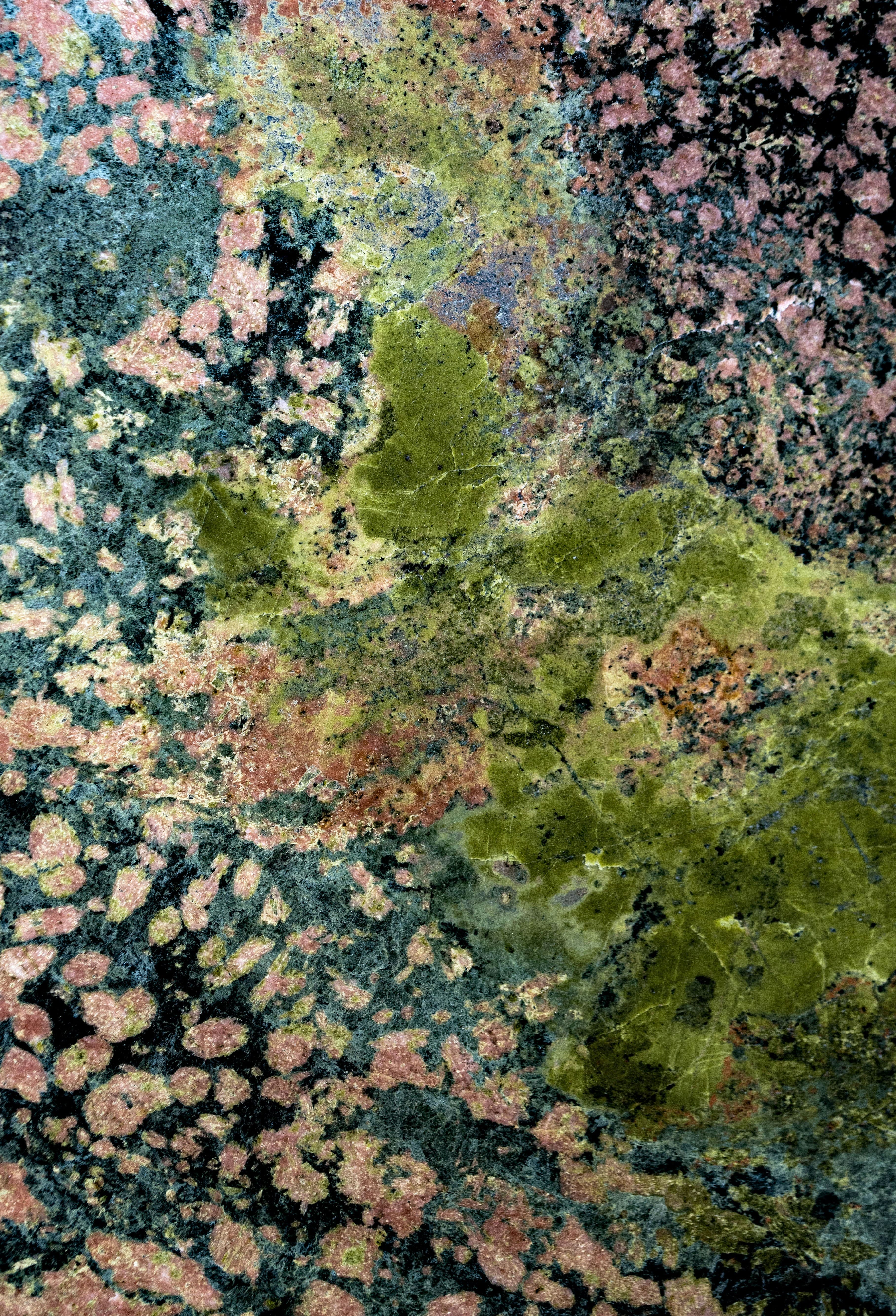 Indoor mould assessment consultation